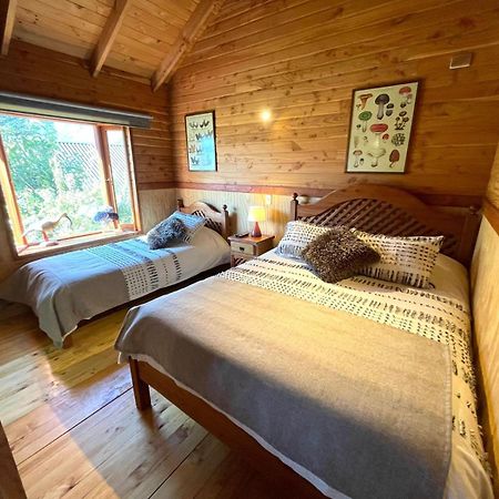 Hostal Pucon Sur מראה חיצוני תמונה